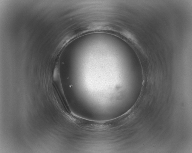 X0000067901273200604131345
