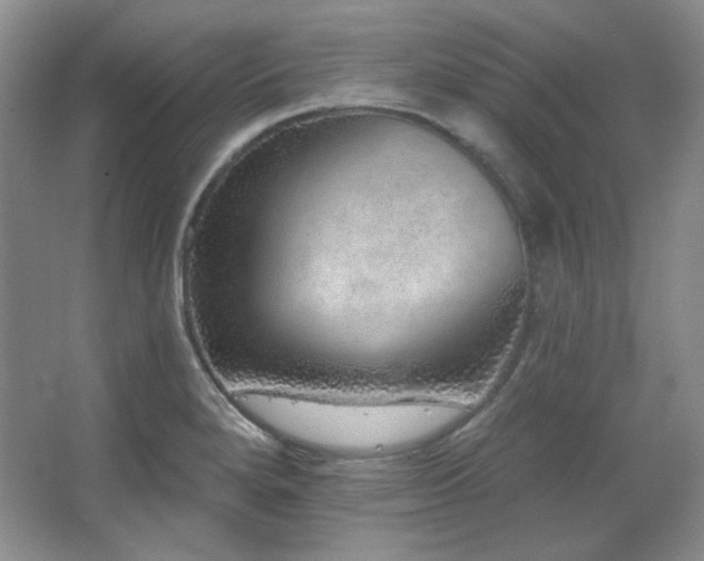 X0000067901280200604131345