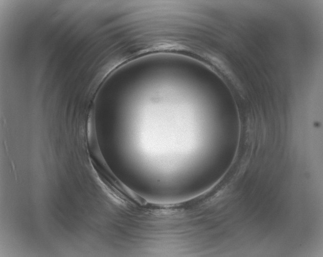 X0000067901281200604131345