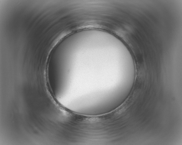 X0000067901282200604131345