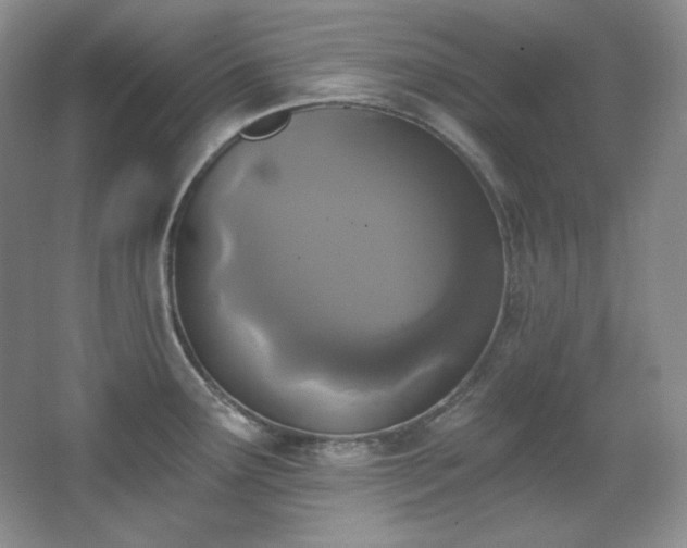 X0000067901291200604131344