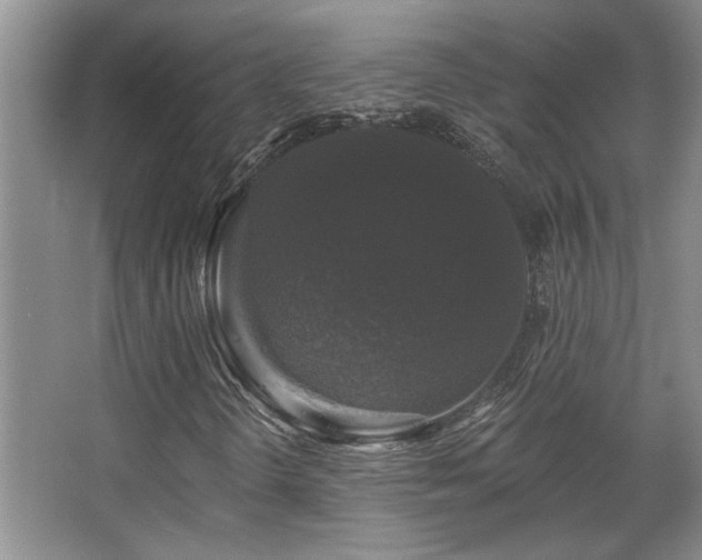 X0000067901298200604131344