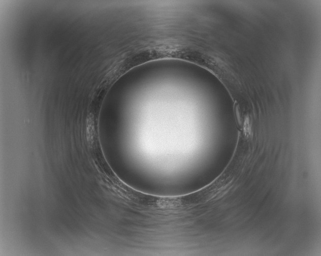X0000067901299200604131344