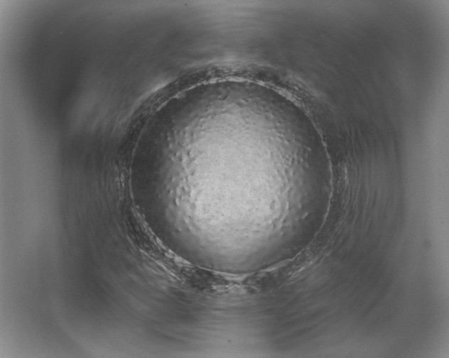 X0000067901302200604131344