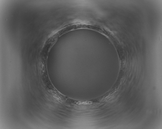 X0000067901303200604131344