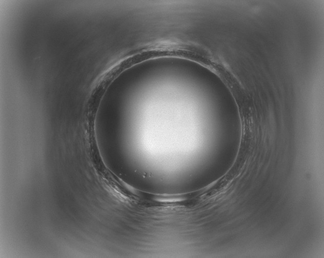 X0000067901304200604131344