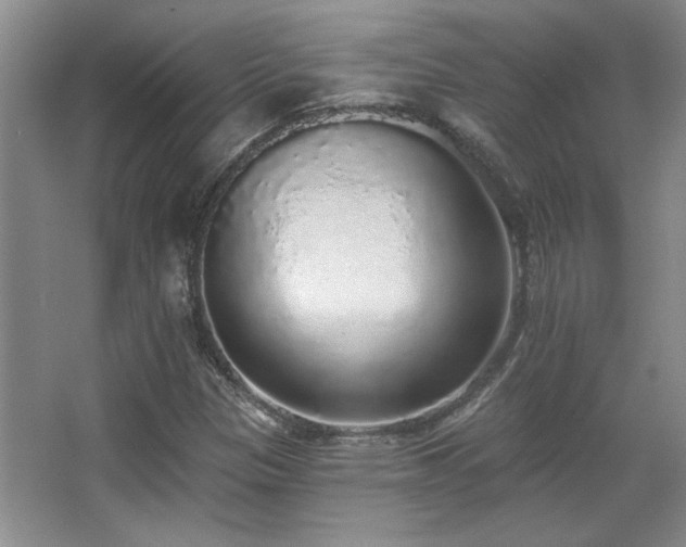 X0000067901305200604131344