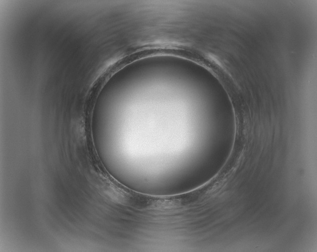 X0000067901307200604131344