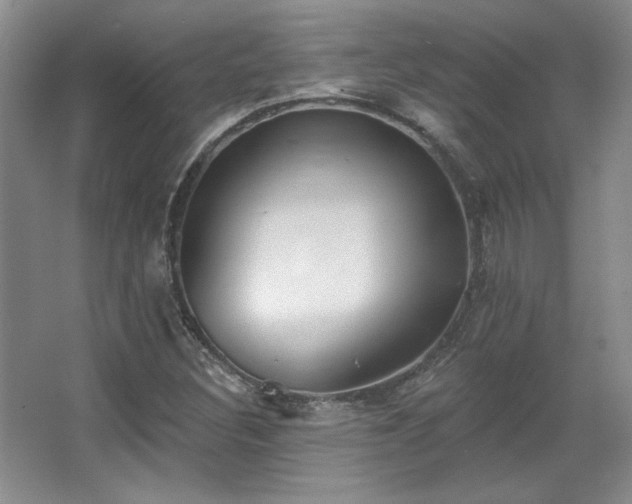 X0000067901308200604131344