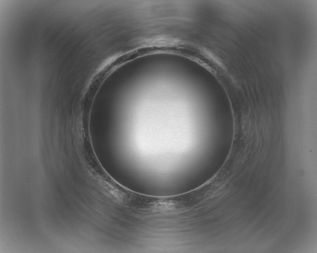 X0000067901315200604131344