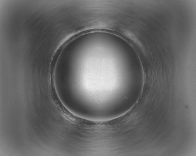 X0000067901316200604131344