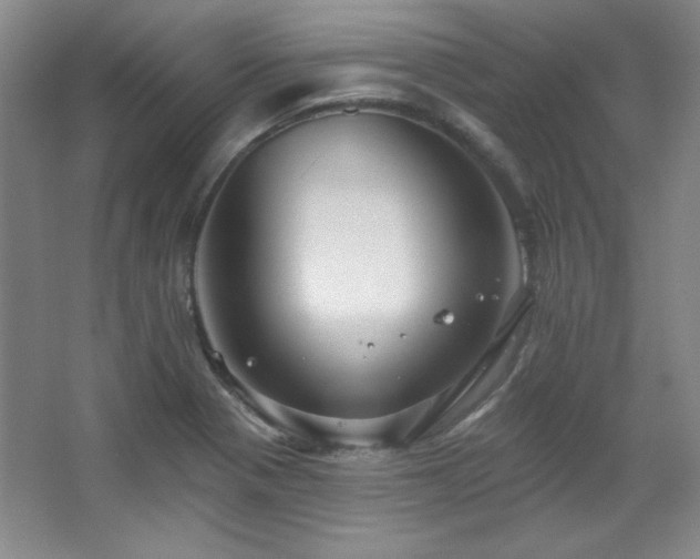 X0000067901321200604131344