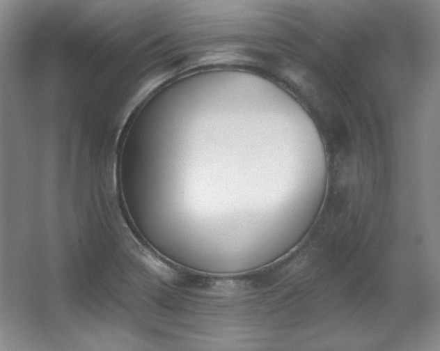 X0000067901322200604131344