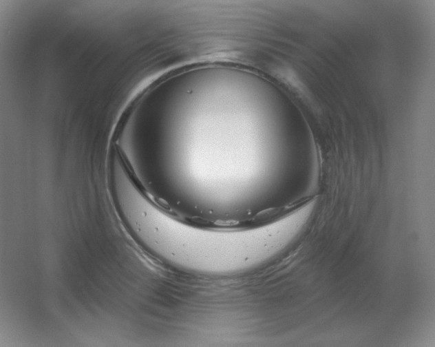 X0000067901324200604131344
