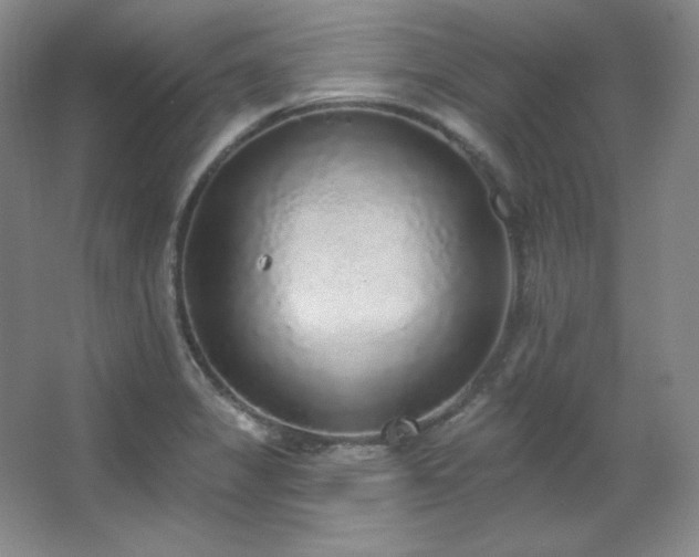 X0000067901325200604131344