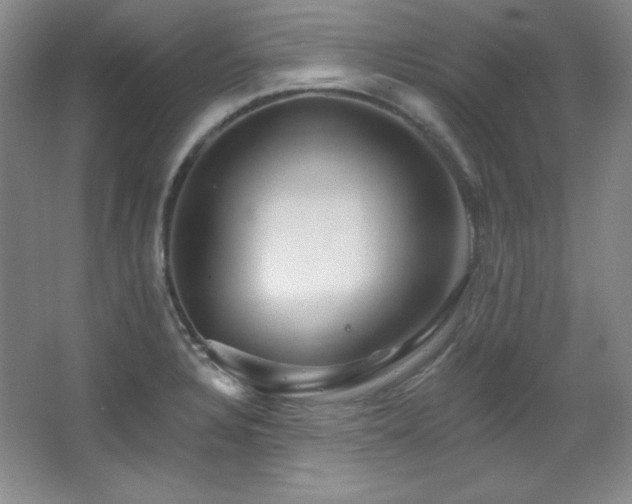 X0000067901328200604131344