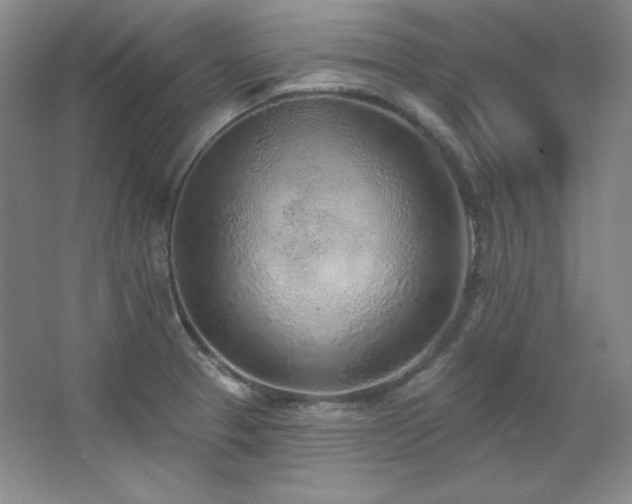 X0000067901329200604131344