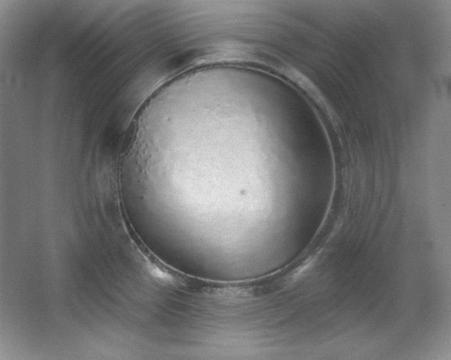 X0000067901337200604131344