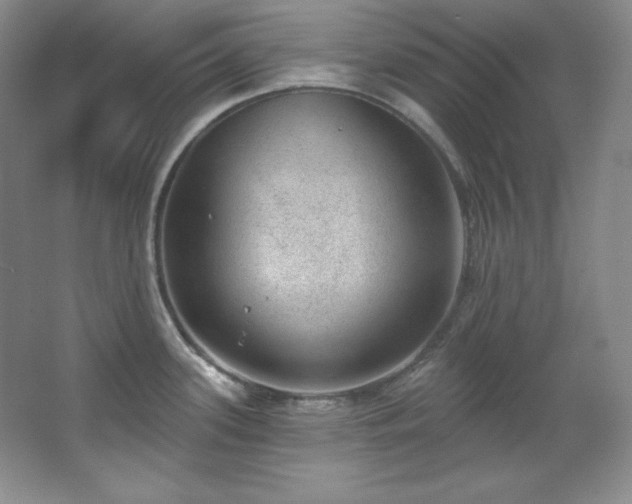 X0000067901339200604131344