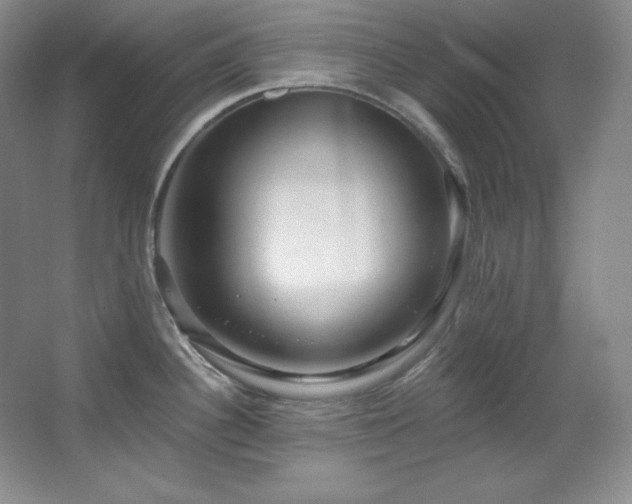 X0000067901340200604131344