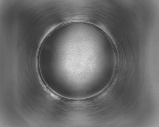 X0000067901341200604131344
