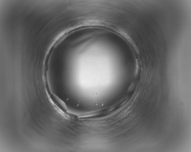 X0000067901342200604131344