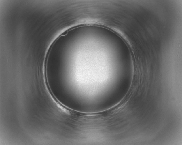 X0000067901343200604131344