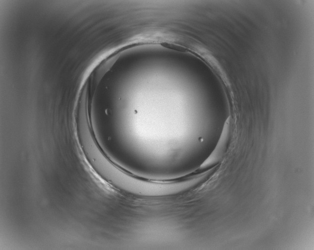 X0000067901344200604131344