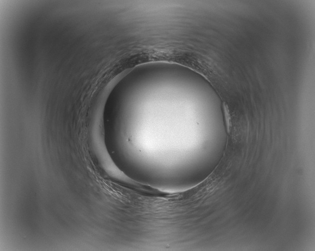 X0000067901345200604131344
