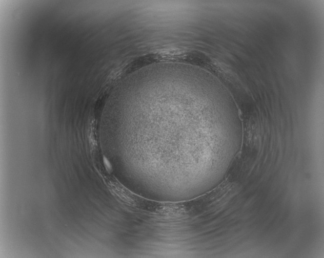 X0000067901346200604131344