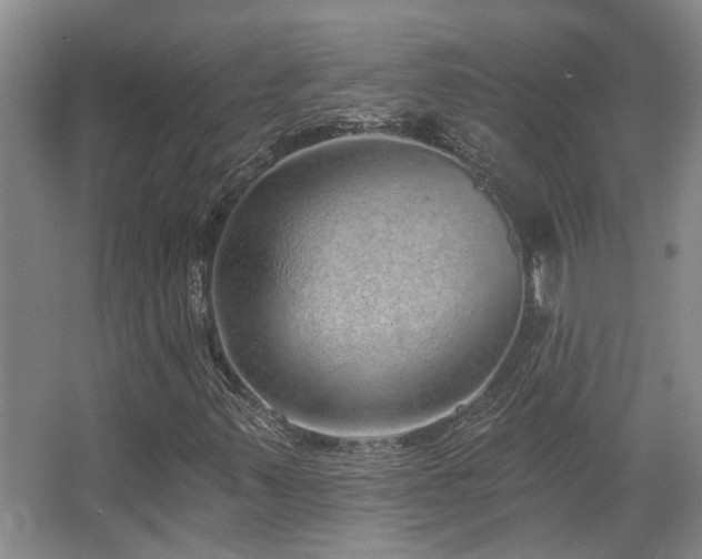 X0000067901347200604131344