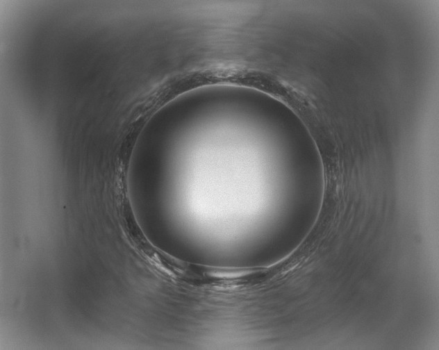 X0000067901349200604131344