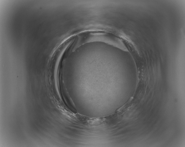 X0000067901352200604131343