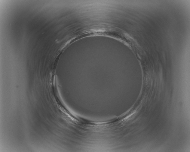 X0000067901353200604131343
