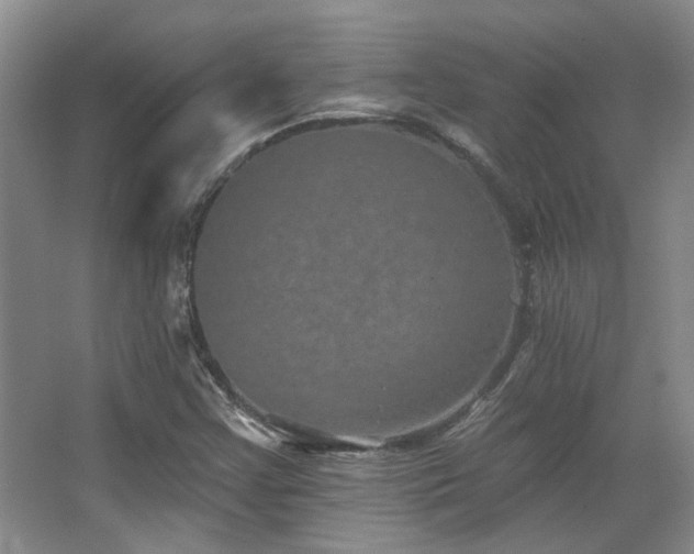 X0000067901355200604131343