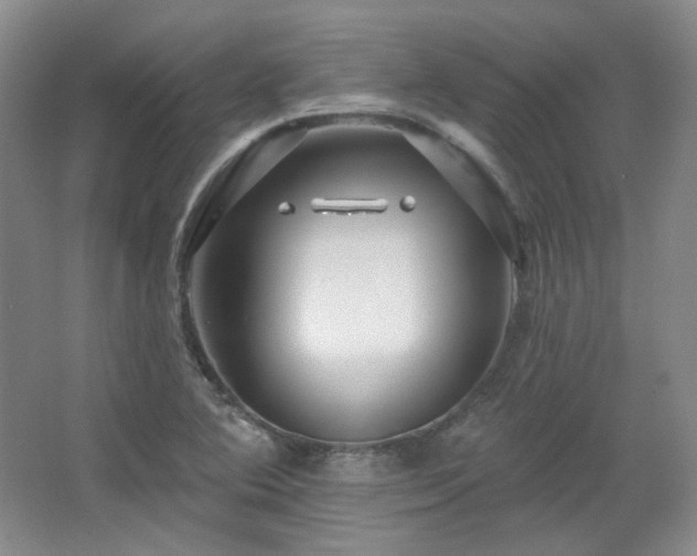 X0000067901364200604131343