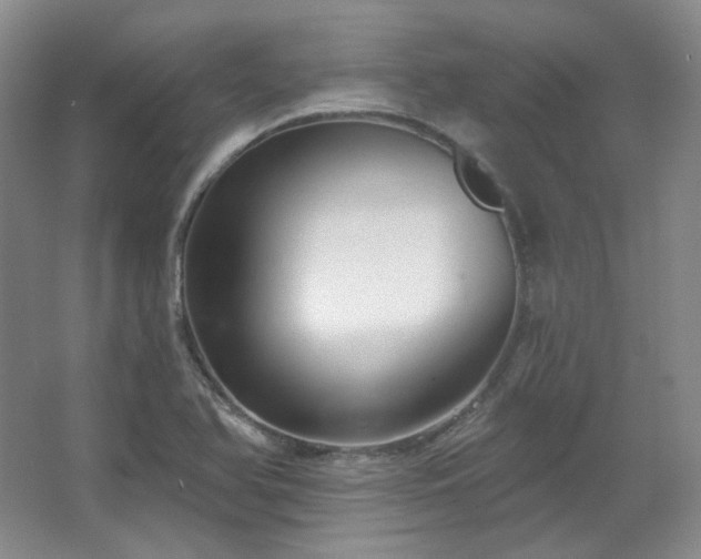 X0000067901366200604131343
