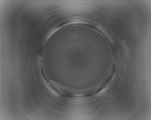 X0000067901369200604131343