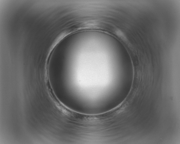 X0000067901370200604131343