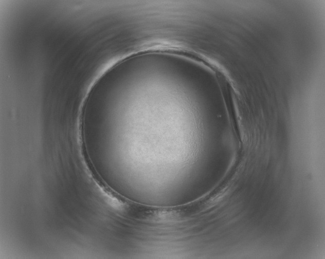 X0000067901375200604131343