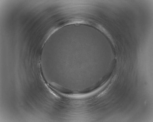 X0000067901377200604131343