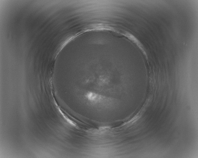 X0000067901385200604131343