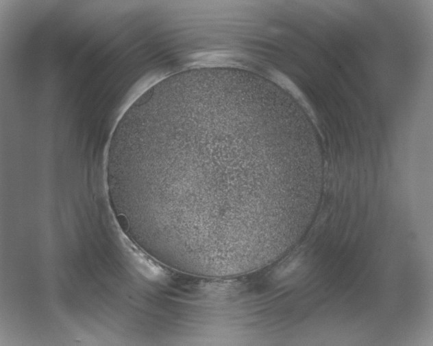 X0000067901386200604131343
