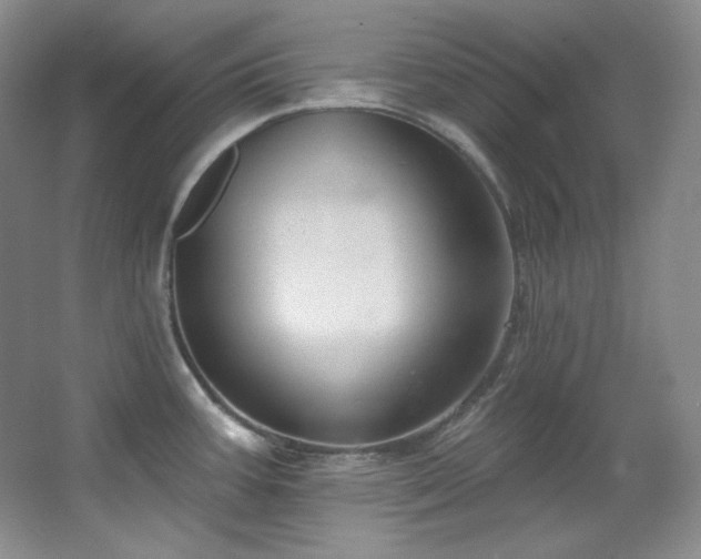 X0000067901387200604131343