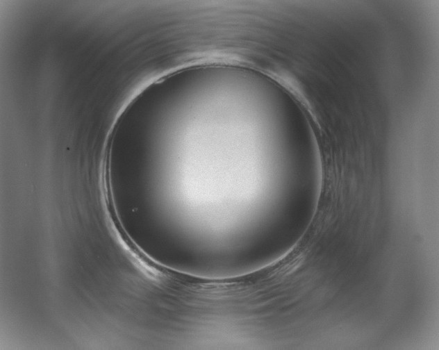 X0000067901391200604131343