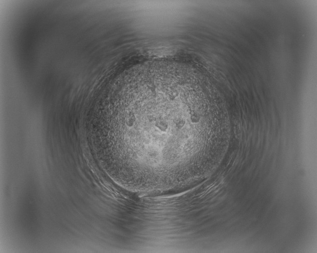 X0000067901393200604131342