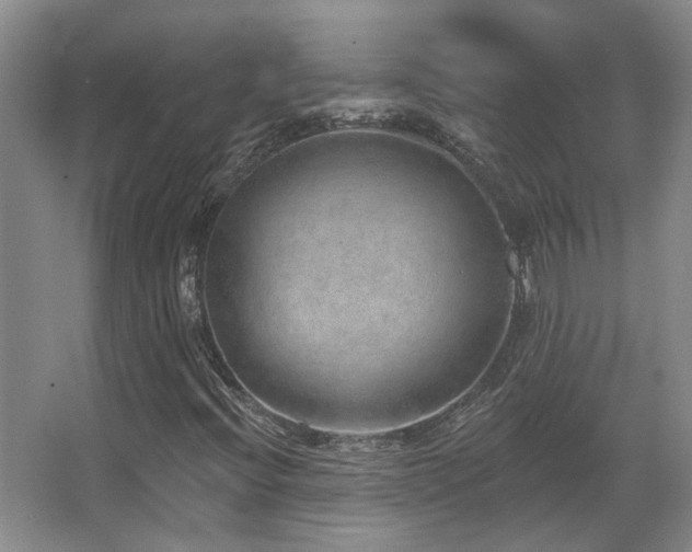 X0000067901396200604131342