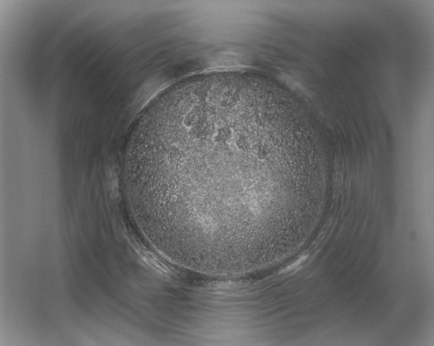 X0000067901401200604131342
