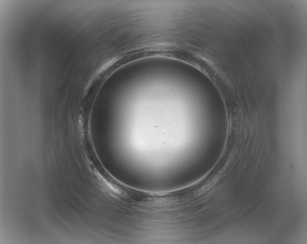 X0000067901402200604131342