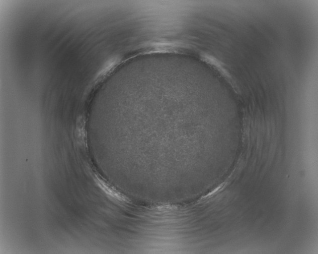 X0000067901403200604131342
